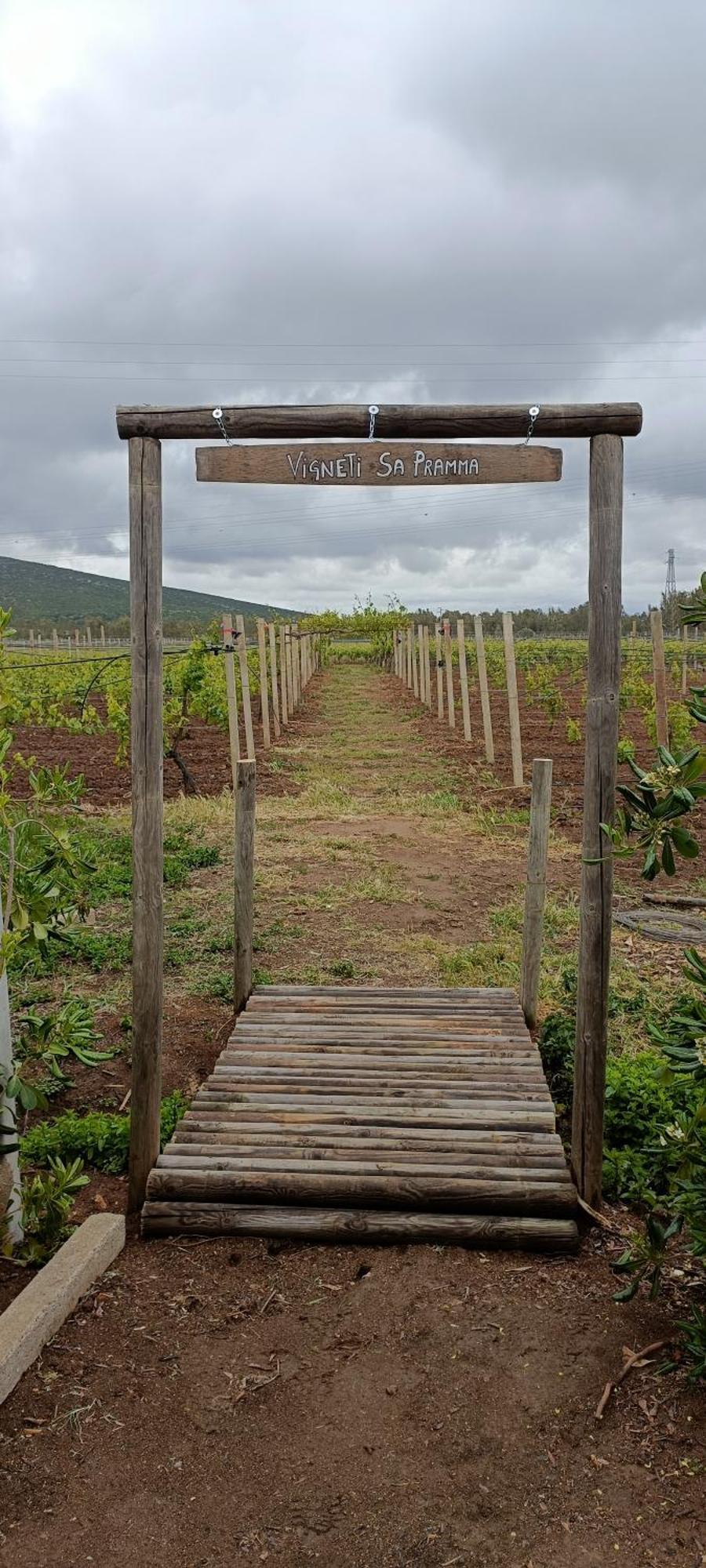 סנטה מריה לה פלמה Agriturismo Sa Pramma מראה חיצוני תמונה